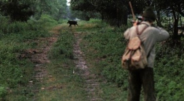 Arezzo, cacciatore scompare nel bosco: trovato morto accanto al cinghiale ucciso