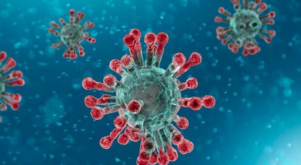 Coronavirus, individuato negli anticorpi umani un gene cruciale per il vaccino