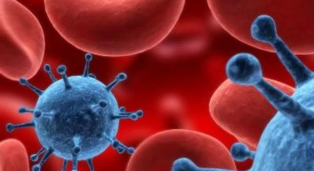 Leucemia, la scoperta choc: "Sequenza aliena nelle cellule tumorali"