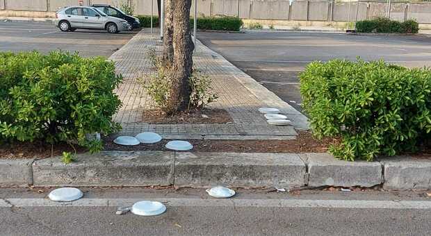 Cibo nei piattini per strada ai gatti, lo stop a Lecce tramite l'ordinanza: ecco cosa cambia