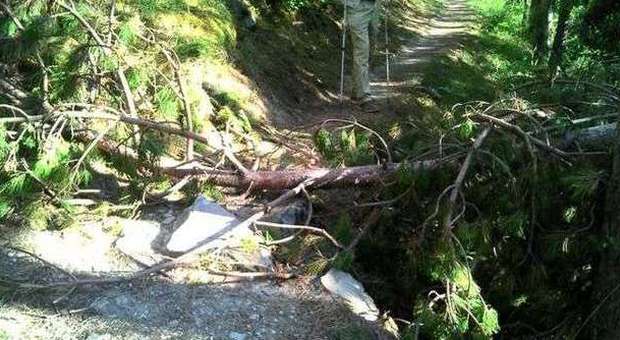 Visso, devastato dai vandali il sentiero Natura del Parco dei Sibillini