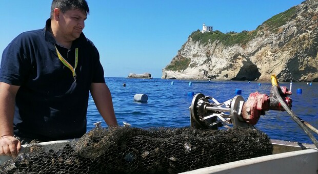 Cozza plastic free: al via le prove in mare a Napoli