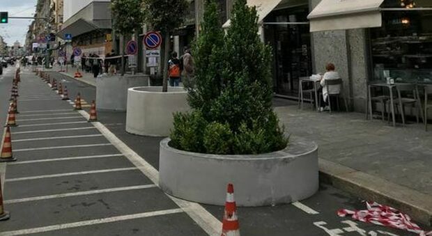 Milano, rivolta in corso Buenos Aires: no alle piante in vaso, tolgono i posteggi auto