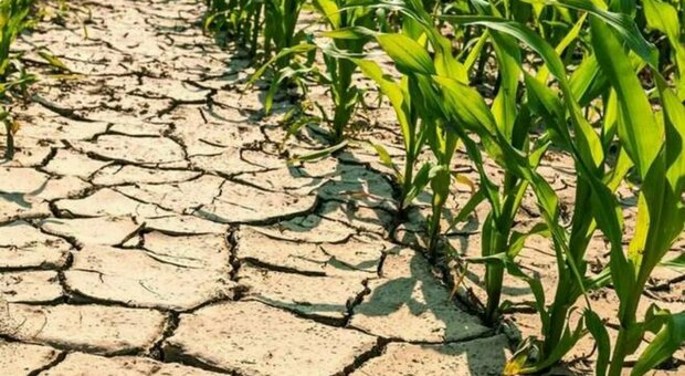 Lombardia, la siccità fa posticipare il via alle irrigazioni all'11 aprile
