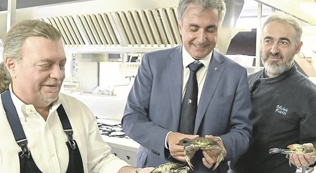 Pesaro, Baldelli sponsorizza il granchio blu: «Mangiatelo, fa bene a voi e al mare». I prezzi per un primo o un antipasto
