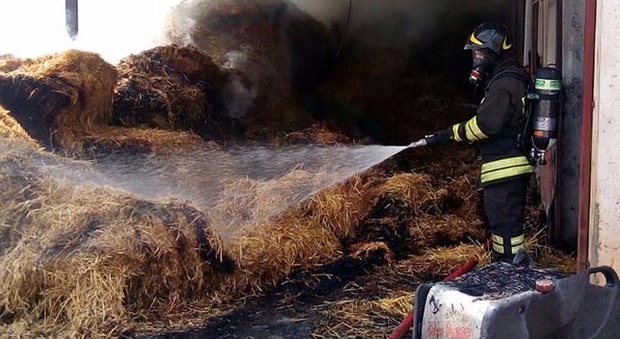 Baracca con attrezzature agricole va a fuoco, pompieri domano l'incendio