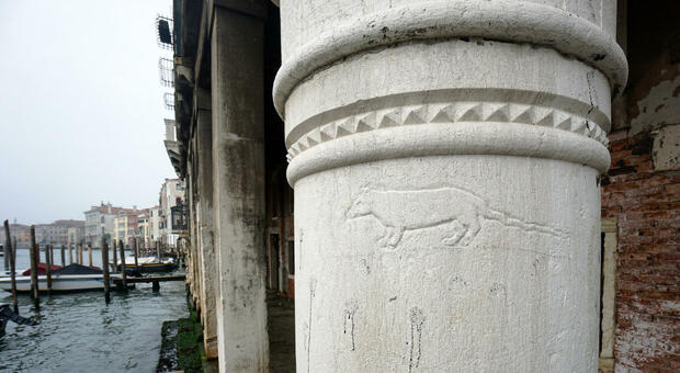 La pantegana su una colonna lungo il Canal Grande. Graffitismo dei secoli passati