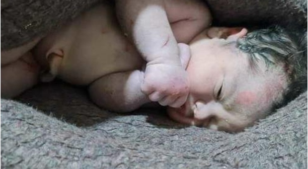 Neonato partorito sotto le macerie del terremoto in Siria, ma la madre muore