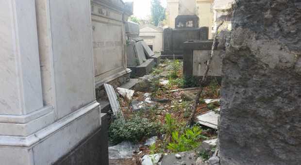 Napoli svilita: rovi, voragini e transenne, è scempio anche tra le tombe