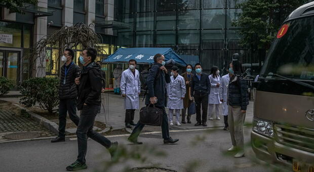 Coronavirus, gli ispettori dell'Oms a Wuhan: i sopralluoghi dall'ospedale al mercato