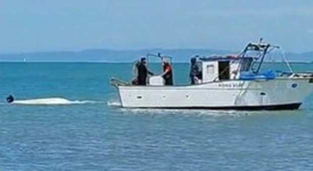 Uno 'squalo' insegue un peschereccio a Santa Marinella