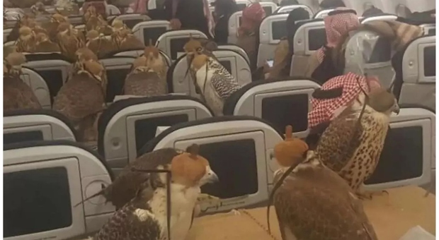 Rapaci su un volo aereo: un principe saudita ha prenotato 80 posti a sedere