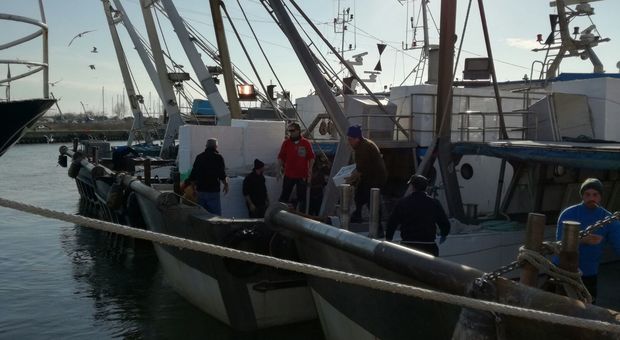 Pesca, l'attacco Ue minaccia l'Adriatico. Operatori senza rimborsi