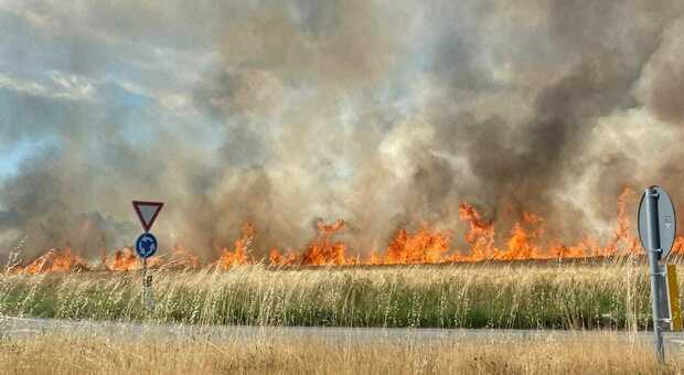 Utilitaria prende fuoco, in fiamme il campo vicino: chiusa la Provinciale in entrambi i sensi