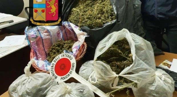 Dodici chili di marijuana sequestrati dalla polizia: un arrestoo