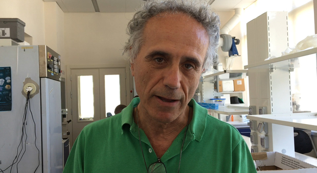 Maurizio Ribera d'Alcala, dirigente di ricerca sezione Emi Szn