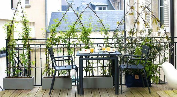 Un balcone con piante che riparano dalla vista dei vicini