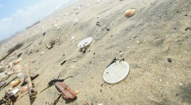 Dischetti di plastica sulle spiagge, anche Latina si costituisce parte civile