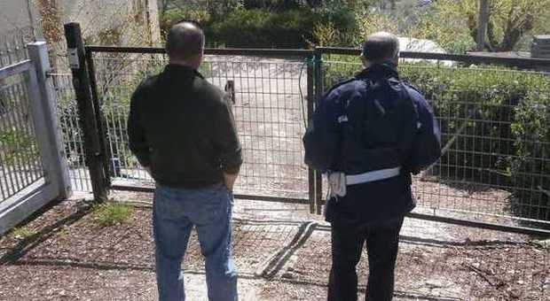Ancona, aggredita da tre cani Avvocato in gravi condizioni a Torrette