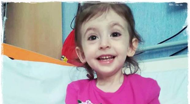 Elisa, tre anni, malata di leucemia: Fiorello e Anastacia e molti altri Vip si mobilitano per salvarla