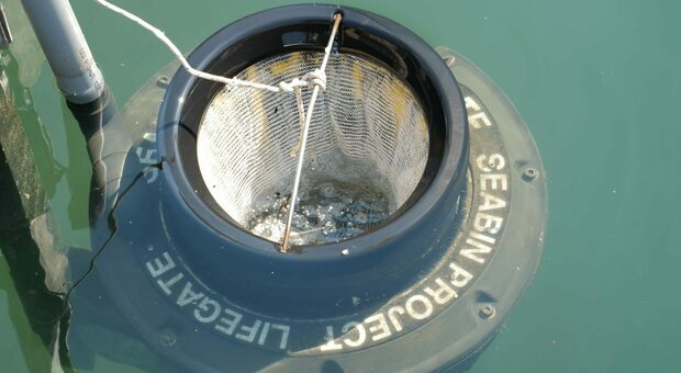Il dispositivo Seabin, o cestino del mare, in grado di raccogliere dall’acqua la plastica ma anche la microplastica fino a 2 mm e microfibre fino a 0,3 mm