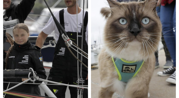 immagine Greta salpa con Casiraghi (e il gatto George). È lei la favorita per il Nobel per la pace