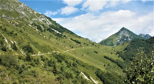 Malga Confin, in Val Venzonassa; è quel tetto verde scuro alla fine della stretta via bianca