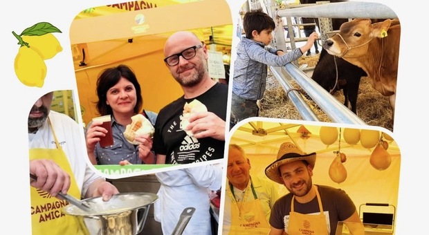 A Sorrento street food, prodotti a km0 e animali alla «Fattoria in città» in piazza Veniero