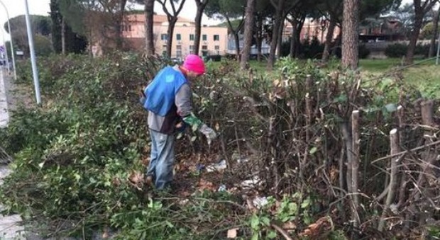 Roma, svolta del Comune: la cura del verde passa ai privati