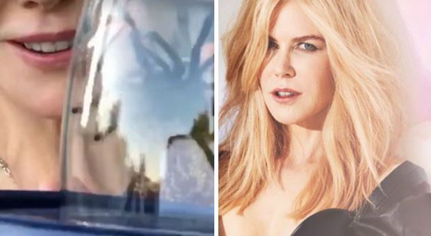 Nicole Kidman cattura il grosso ragno nero che spaventa i figli: ecco come ha fatto Video