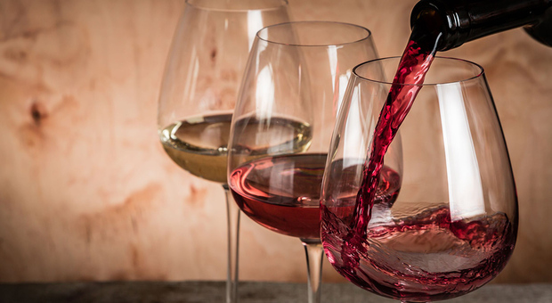 Falsa indicazione Igp sulle etichette del vino: 14 denunce
