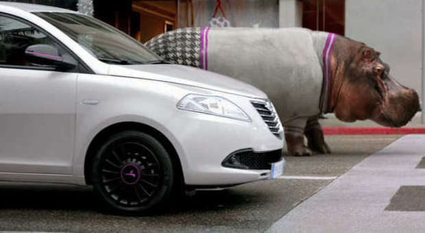 La Lancia Ypsilon Elefantino sfida l'ippopotamo....