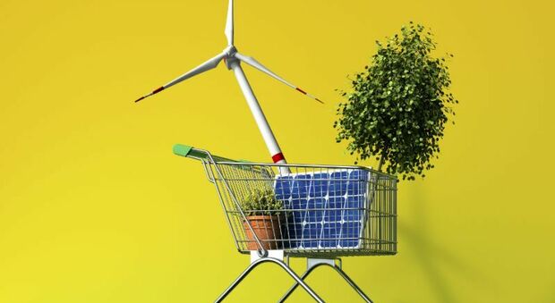 Energia, quattro passi nella transizione con le rinnovabili del gruppo Enel