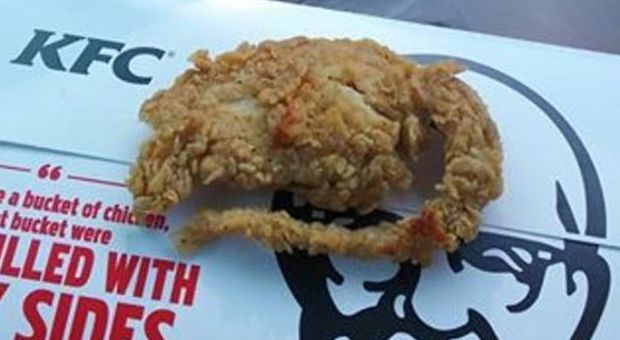 Morde il bocconcino di pollo fritto al fast food, poi fa una scoperta disgustosa