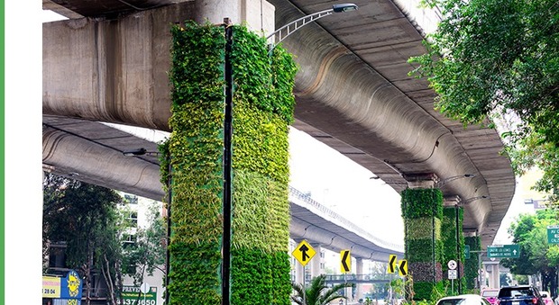 immagine Città del Messico, i piloni della sopraelevata diventano giardini verticali