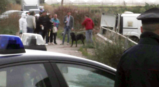 Campania, sbranato dai suoi cani per difendere un cucciolo