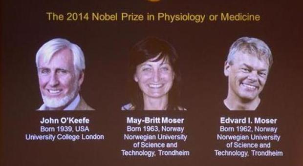 Nobel Medicina a 'OKeefe, May-Britt e Edvard Moser per il "Gps del cervello"