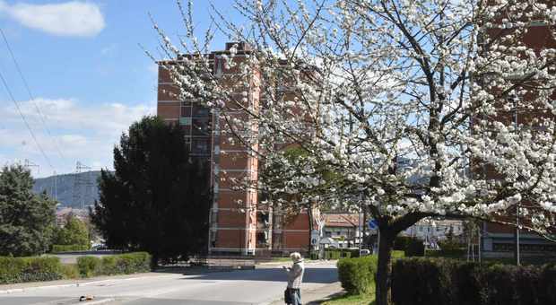 immagine Terni, la natura riprende vita ma la città è ferma
Fotogallery Angelo Papa