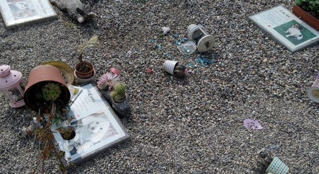 Milano, vandali al cimitero degli animali: distrutte le lapidi