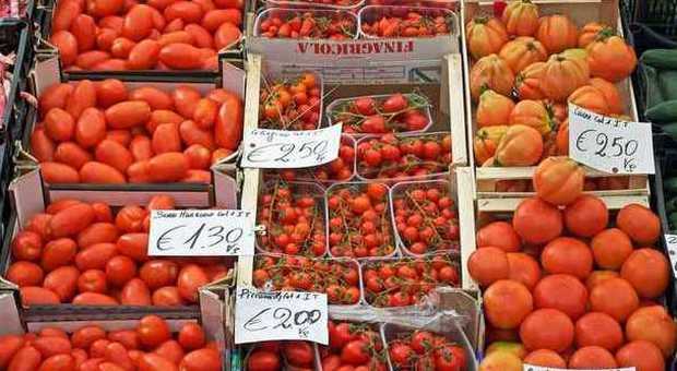 «Sostegno alla filiera e al made in Italy»: il mercato del pomodoro pronto al rilancio