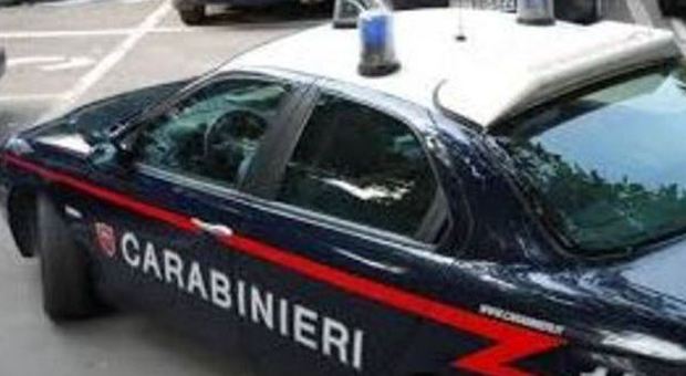 Aggredito da un branco di cani chiede aiuto ai carabinieri: assaliti anche i militari