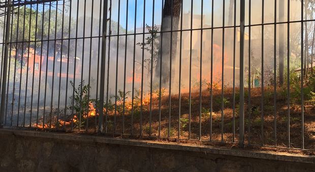 Roma, grande incendio a Villa Massimo, fiamme e fumo: paura tra i residenti