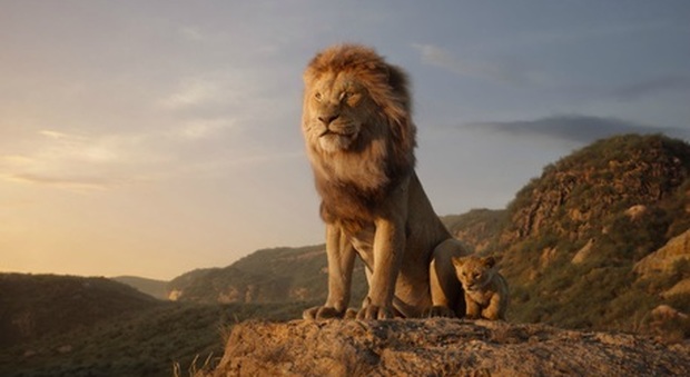 Il Re Leone vola al cinema. Ma il Wwf: «Tra 25 anni potrebbe non esserci più nessun Simba»