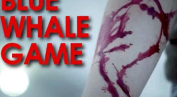 Blue Whale, ragazza di 13 anni si uccide con il fucile del padre
