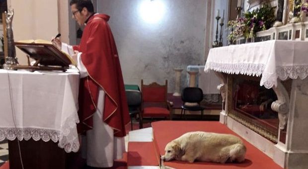 Santopadre, il cane che "celebra" la messa insieme al parroco