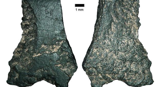 I resti dell'ascia più antica del mondo
