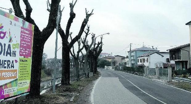 Messa in sicurezza della Riviera: gli alberi sono stati potati