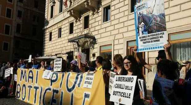 Botticelle, protesta degli animalisti: volano insulti, calci e spintoni al Pantheon