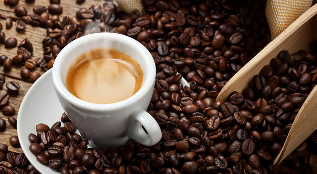 Tumori, bere caffè può ridurne il rischio: la rivelazione in una ricerca