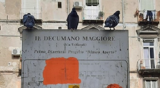 Napoli, lo scempio dei cartelli turistici: «Nove su dieci vandalizzati»